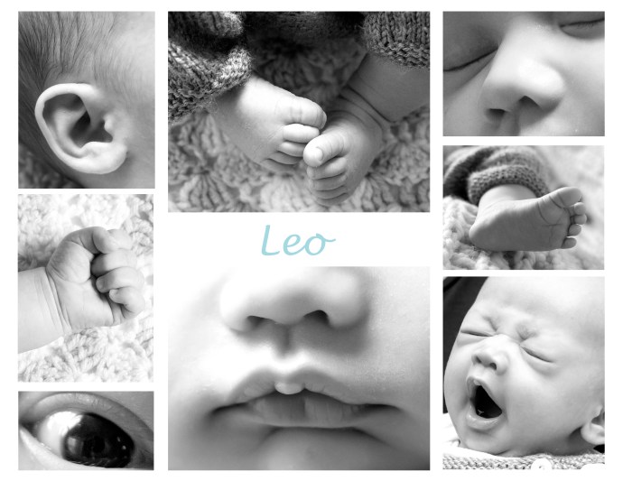 Leo Collage